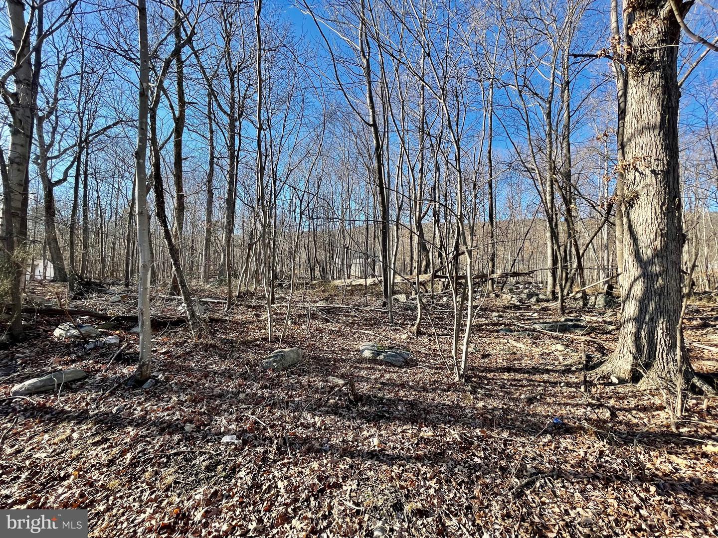 409 Crow Dr, Winchester, VA 22602 MLS VAFV2010624 Coldwell Banker