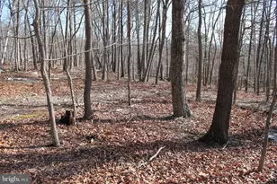 0 Bluebird Trail, Winchester, VA 22602 - Photo 1