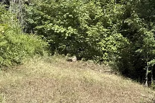 Iroquois Trail, Winchester, VA 22602 - Photo 1