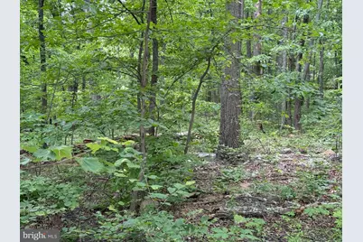 Lot 12 Raccoon Drive, Winchester, VA 22602 - Photo 1