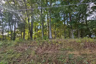 2064 Senseny Rd, Winchester, VA 22602 - Photo 1