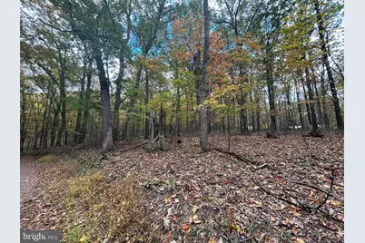 Lodge Lane, Cross Junction, VA 22625 - Photo 1