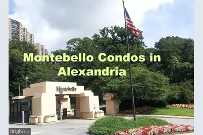 5901 Mount Eagle Drive #207, Alexandria, VA 22303 - Photo 1