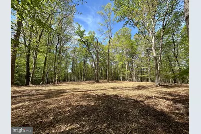 12636 Mill Dam Drive, Clifton, VA 20124 - Photo 1