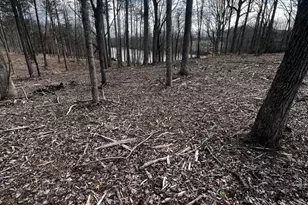 Lot 56 Compass Cove, Mineral, VA 23117 - Photo 1