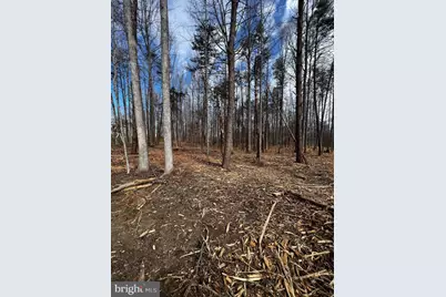 Lot 74 Compass Cove, Mineral, VA 23117 - Photo 1