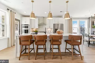 20058 Coral Wind Ter, Ashburn, VA 20147 - Photo 1