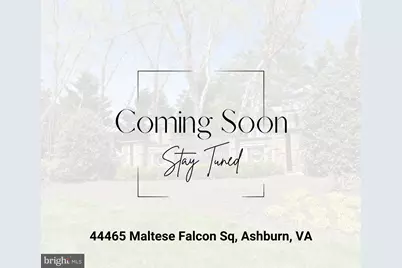44465 Maltese Falcon Square, Ashburn, VA 20147 - Photo 1