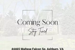 44465 Maltese Falcon Square, Ashburn, VA 20147 - Photo 1