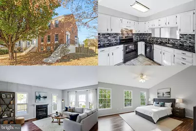 21031 Lemon Springs Terrace, Ashburn, VA 20147 - Photo 1