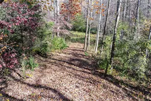 Tbd Pine Torch, Madison, VA 22727 - Photo 1