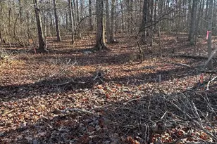 00 Cox Mill Rd, Gordonsville, VA 22942 - Photo 1