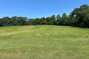 Lot 2 James Madison Hwy, Orange, VA 22960 - Photo 1