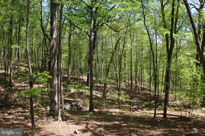 N Egypt Bend Road, Luray, VA 22835 - Photo 1