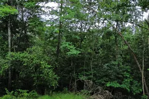 Lot 9 Lookout Dr, Shenandoah, VA 22849 - Photo 1