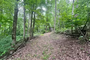 Paris Rd, Stanley, VA 22851 - Photo 1