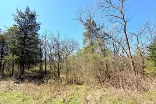 10204 Piper Ln, Bristow, VA 20136 - Photo 1