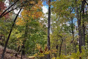 1855 Ridge Rd, Haymarket, VA 20169 - Photo 1