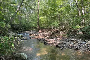 535 Old Hollow Rd, Sperryville, VA 22740 - Photo 1