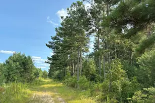 Old Myrtle Road (Tract: Godwin Jenkins Aston-4), Suffolk, VA 23437 - Photo 1