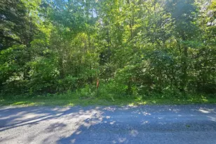 Deer Rapids Rd, Strasburg, VA 22657 - Photo 1