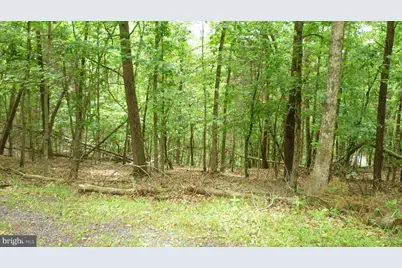 Lot 179 Stuart Drive, Basye, VA 22810 - Photo 1