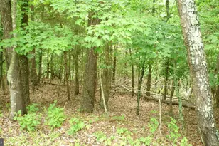 Lot 180 Stuart Dr, Basye, VA 22810 - Photo 1
