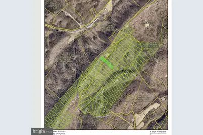 Supinlick Ridge, Mount Jackson, VA 22842 - Photo 1