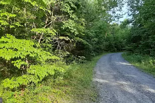 Brush Leaf Ln, Mount Jackson, VA 22842 - Photo 1