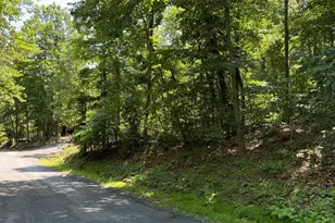 Tbd Willow Ln, Mount Jackson, VA 22842 - Photo 1