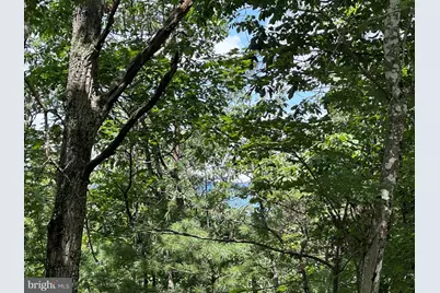 Lot 24 Mt Snow Court, Basye, VA 22810 - Photo 1