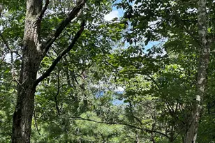 Lot 24 Mt Snow Ct, Basye, VA 22810 - Photo 1