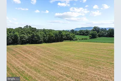 Old Grade Road, Strasburg, VA 22657 - Photo 1