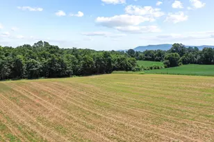 Old Grade Rd, Strasburg, VA 22657 - Photo 1