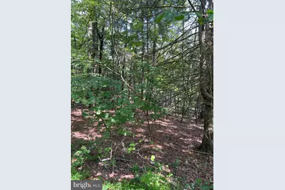 0 Crabapple, Mount Jackson, VA 22842 - Photo 1