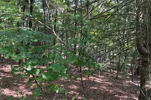 0 Crabapple, Mount Jackson, VA 22842 - Photo 1