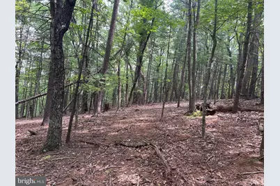 Timber Ridge, Mount Jackson, VA 22842 - Photo 1