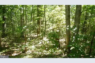 Lot 95 Willow Lane, Mount Jackson, VA 22842 - Photo 1