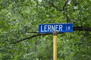 0 Lerner Ln, Basye, VA 22810 - Photo 1