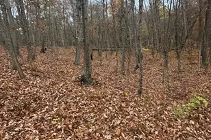 Lot 370 Crosswoods, Fort Valley, VA 22652 - Photo 1