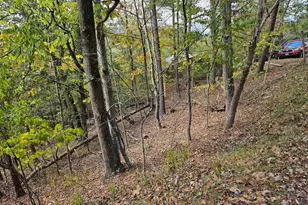 Greenview, Basye, VA 22810 - Photo 1