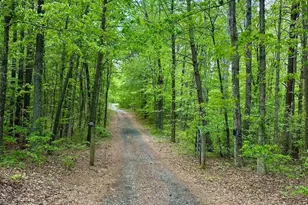 8832 Pamunkey Rd, Spotsylvania, VA 22551 - Photo 1