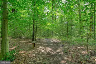 7830 Alsop Way, Spotsylvania, VA 22551 - Photo 63