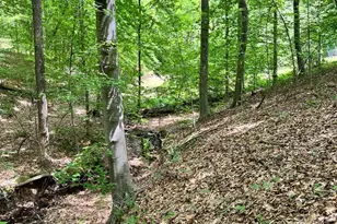 Lot 22 Long Branch Ln, Stafford, VA 22556 - Photo 1