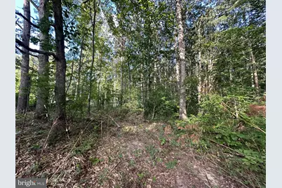 230 Tacketts Mill Road, Stafford, VA 22556 - Photo 1