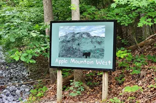 Lot 65 Brandy Rd, Front Royal, VA 22630 - Photo 1