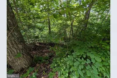 Lot 105 Summit Point Drive, Front Royal, VA 22630 - Photo 1