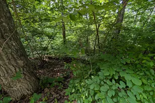 Lot 105 Summit Point Dr, Front Royal, VA 22630 - Photo 1