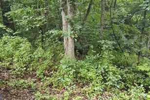 Lot 10 Magnolia Dr, Front Royal, VA 22630 - Photo 1