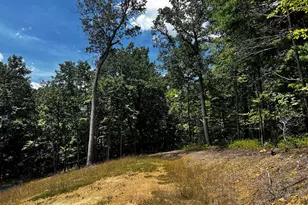 Markham Farm Rd, Front Royal, VA 22630 - Photo 1